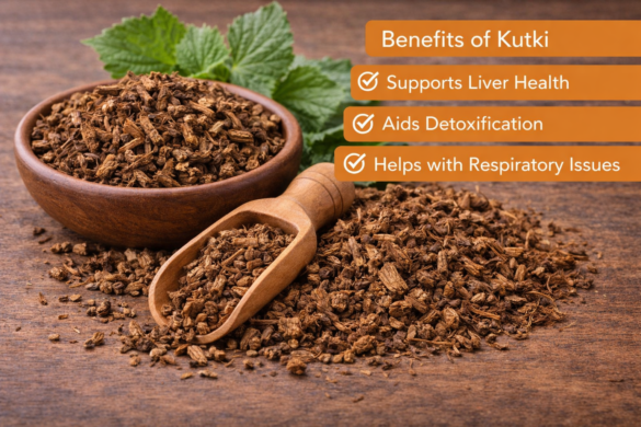 kutki benefits, katuki benefits, picrorhiza kurroa benefits, kutki for liver, kutki for fatty liver, kutki for hepatitis, kutki for digestion, kutki dosage, what is kutki good for, kutki for skin, kutki for fever, kutki for asthma, kutki side effects, kutki powder, kutki for detox